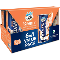 Vadilal Badam Drink- Kesar 6cans