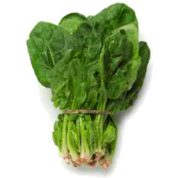 Spinach Bunch
