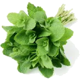 Mint 1 Bunch