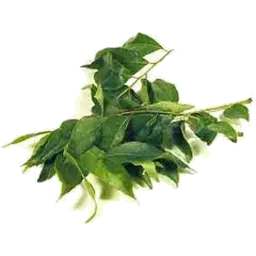 Curry Leaves Bunch