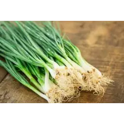 Spring Onion - Shallot Each