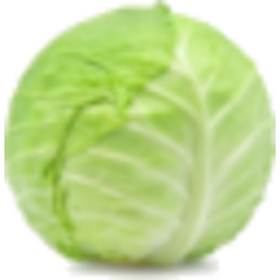 Cabbage Full