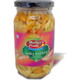 Mother's Pride Amba Haldar