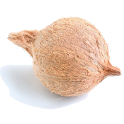 Pooja Coconut
