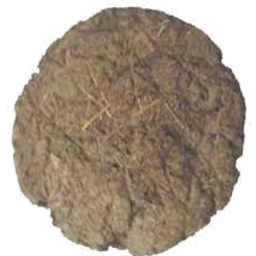 Cow Dung Cake