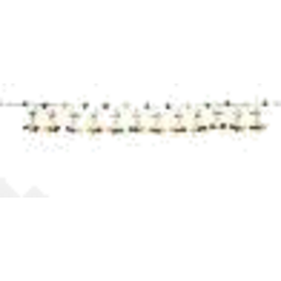 Moti Toran 3ft Am-577