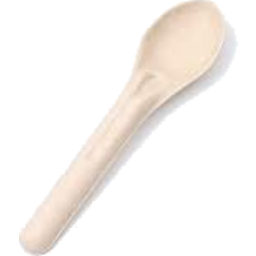 Party Green Sugarcane Spoon 50pcs