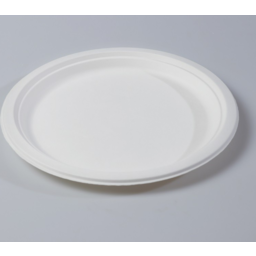 Round Plate 10 inch 260mm