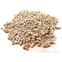 Saurbhi White Pepper Whole