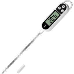 Long Digital Thermometer