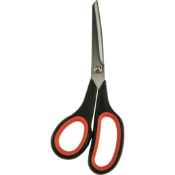 Stainless Steel Scissor